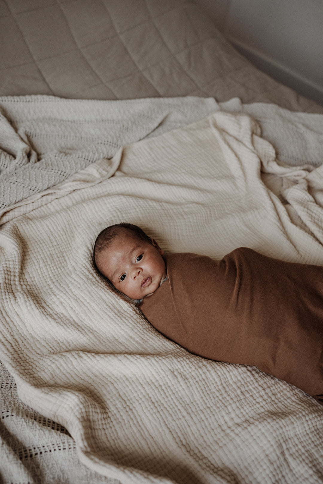 Cinnamon Swaddle